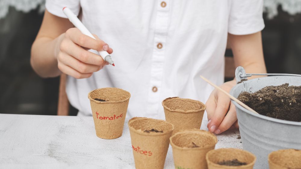 Businessperson comparing tea samples